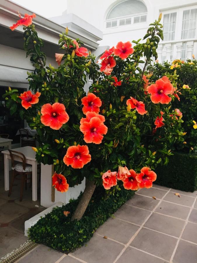 Our Hermanus House المظهر الخارجي الصورة